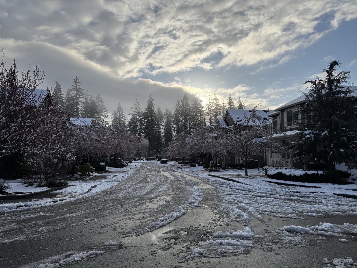 Jorge (por Seattle) tweet media