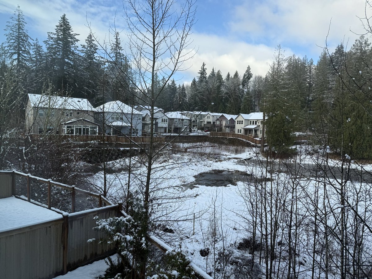 Jorge (por Seattle) tweet media