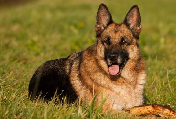 Lic. Pugberto Flores 🍥 tweet media