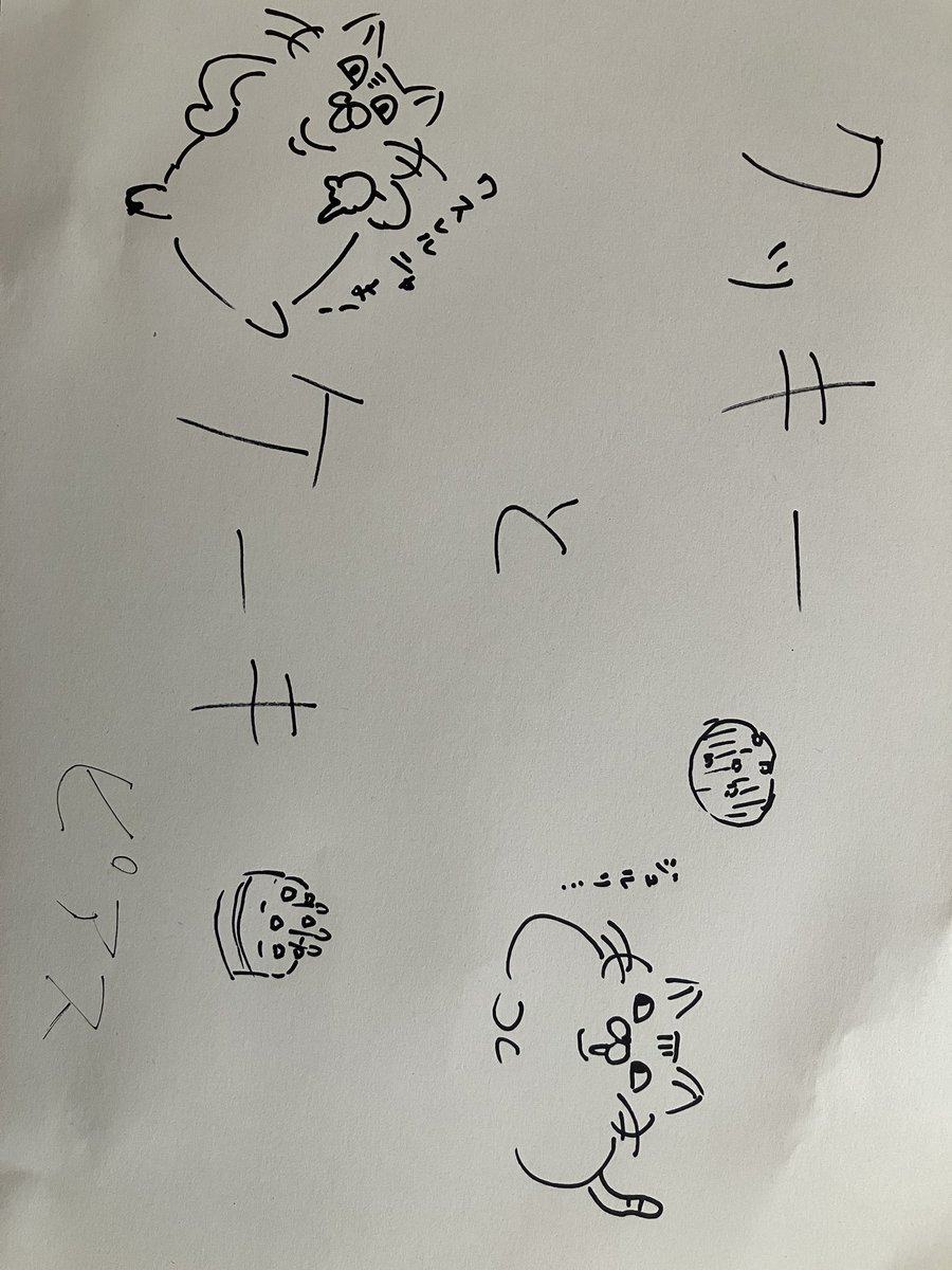 スーちゃん@FF11ラグナロクLemora課金再開中 tweet media