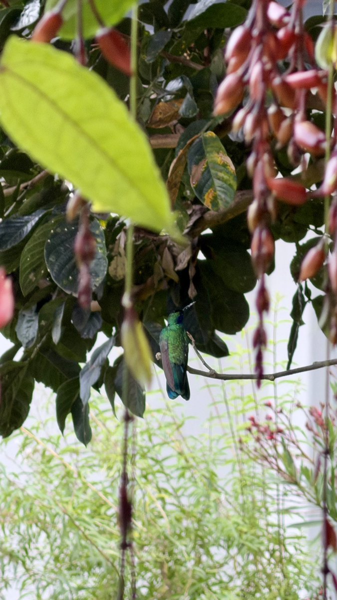 Lorena Hurtado tweet media