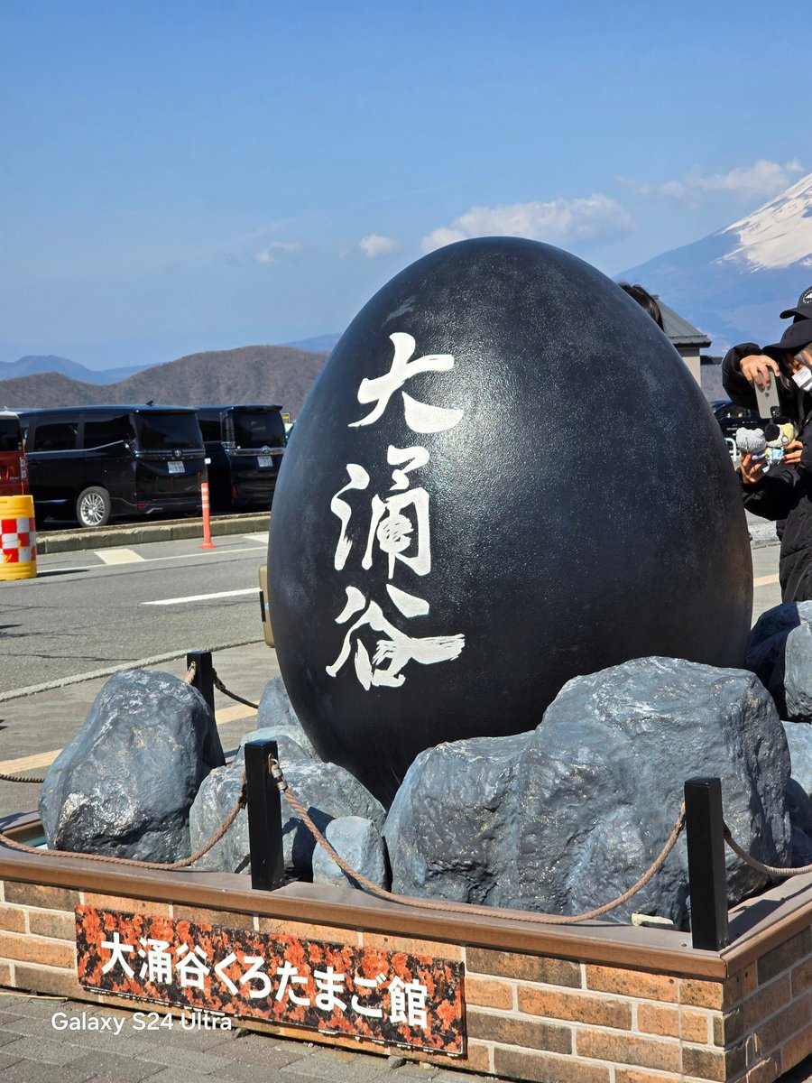 リースノー tweet media