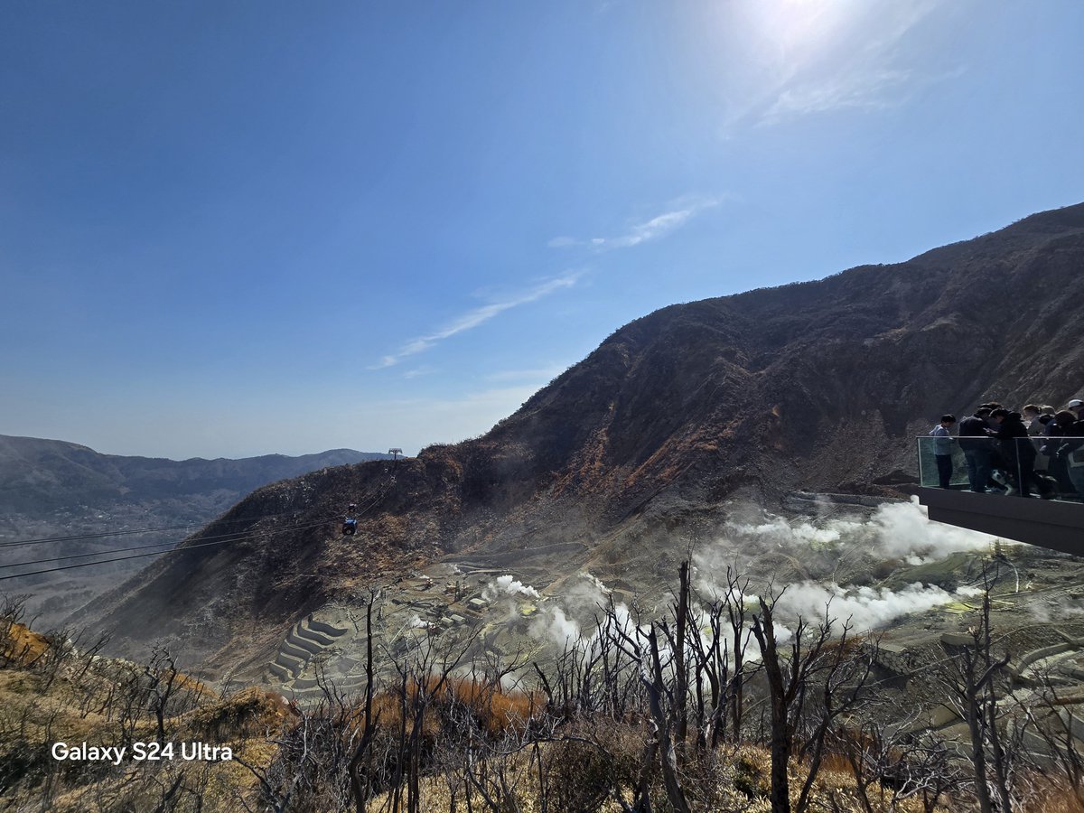 リースノー tweet media