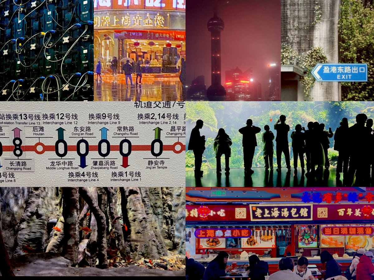 生徒Z||修行中 tweet media