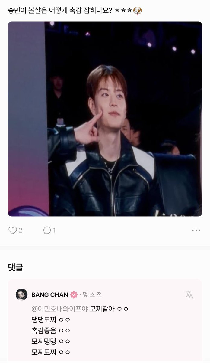 얼마나촉감이좋은건지감도안옴 제가찔러봐야지만알거같아요