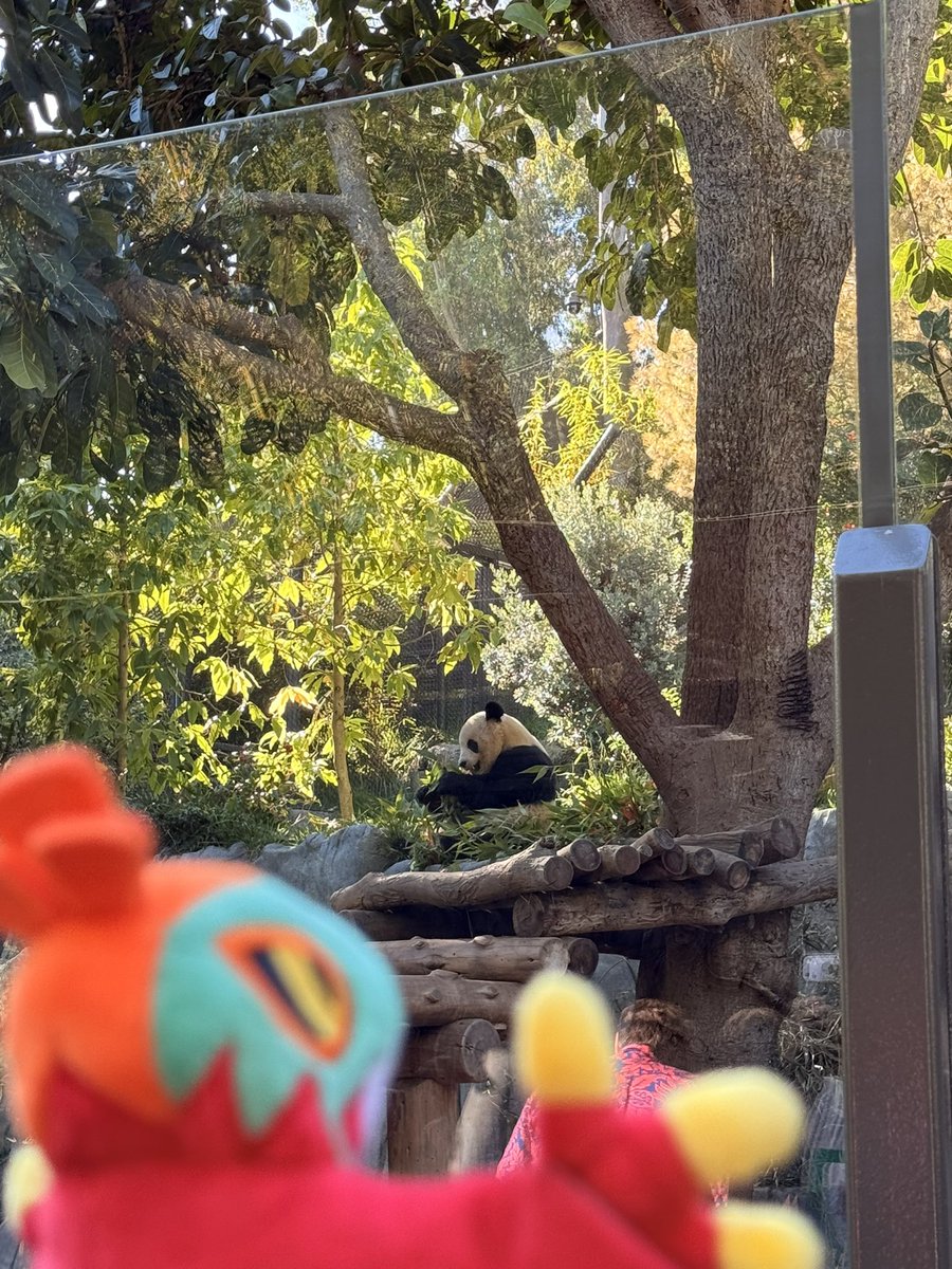 itzamander ⁷ 🔜 LA🌴✨ tweet media