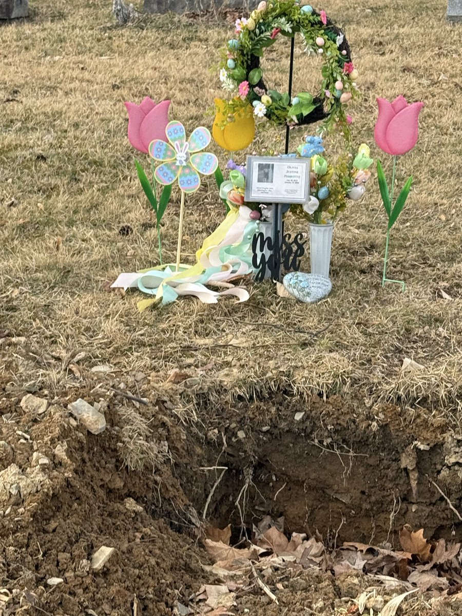 Rebecca Perrotto tweet media