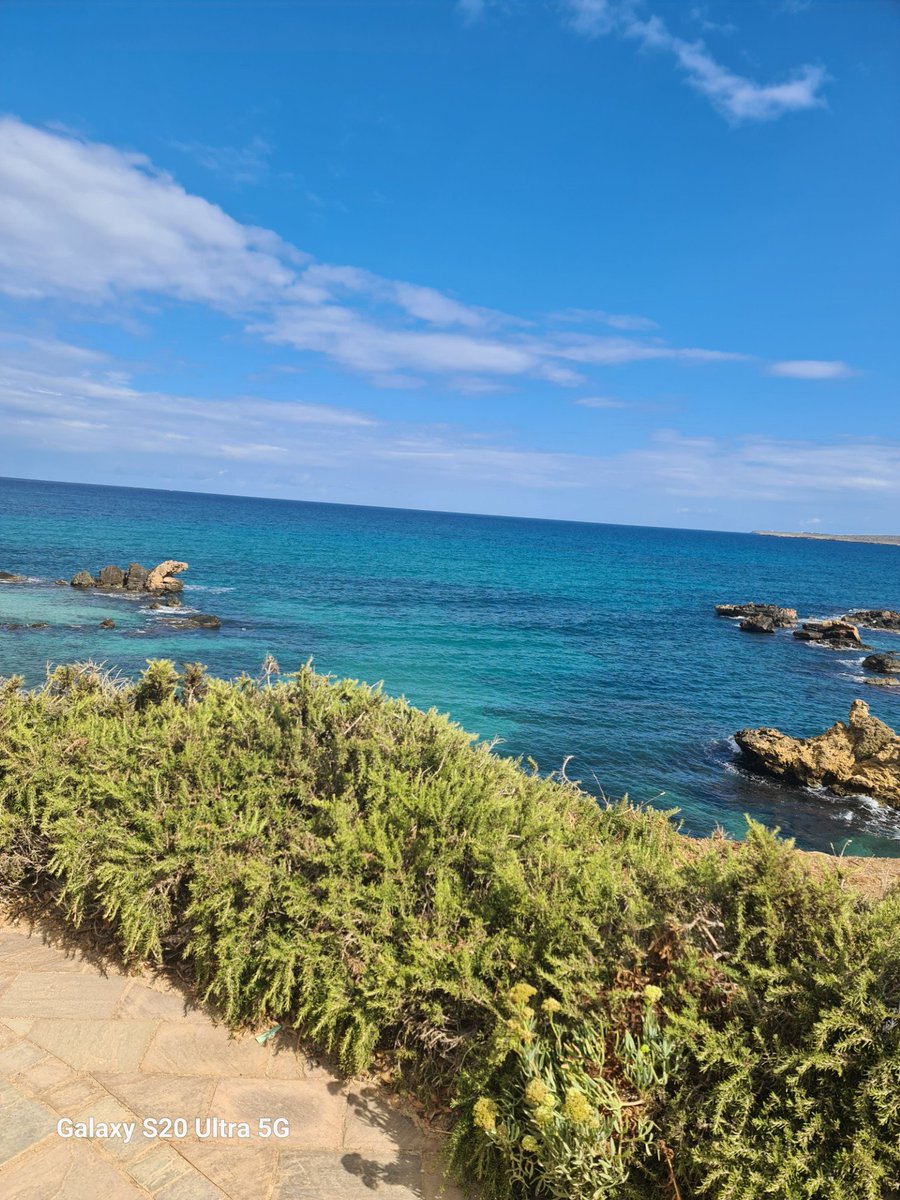 MariaKostis97 tweet media