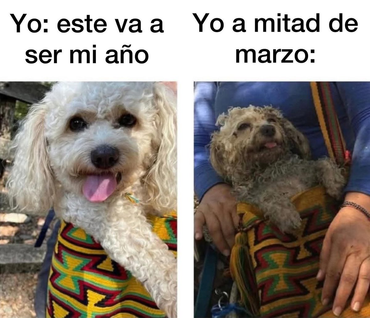 En Júpiter (@en_jupiter_) on Twitter photo 