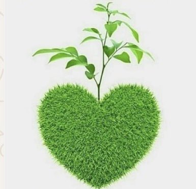 Donna Miles دانا مجاب tweet media