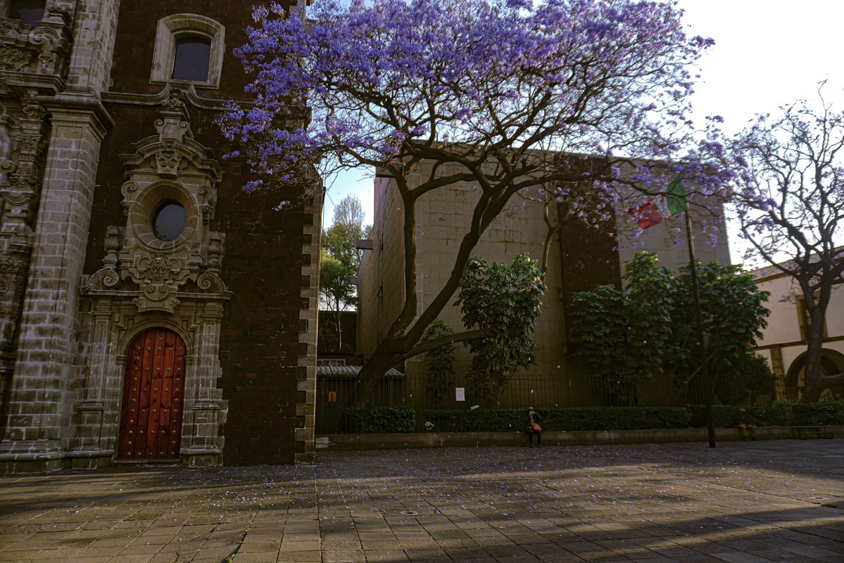 cumbia de nadiablita tweet media