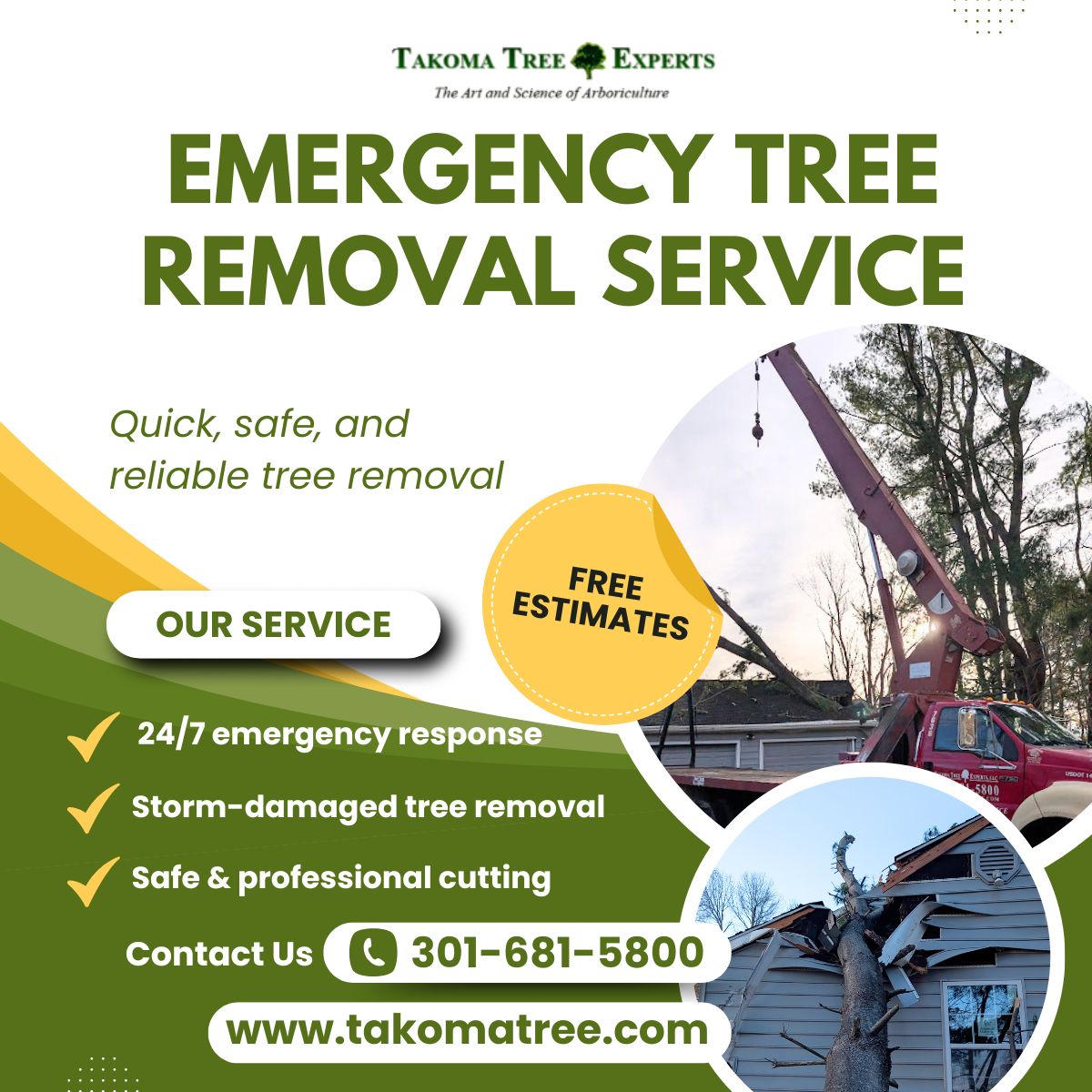 Takoma Tree Experts (@TakomaTreeExper) / Posts / X