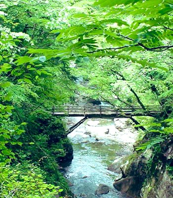 ケンズ ボーカル レッスン tweet media