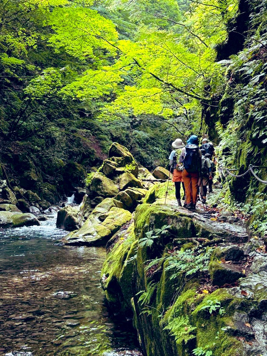 ケンズ ボーカル レッスン tweet media