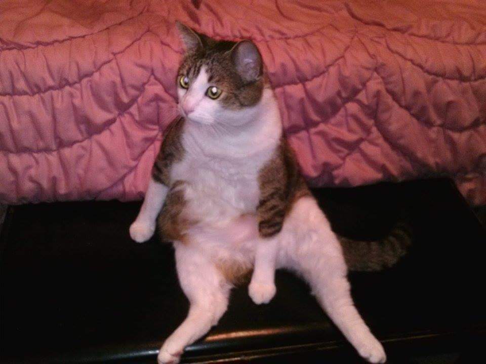 🌻Angie Sánchez🌻 tweet media