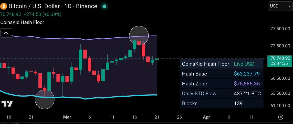 Coins_Kid's tweet photo. $btc is bouncing around in the #hashfloor https://t.co/40C6397u93