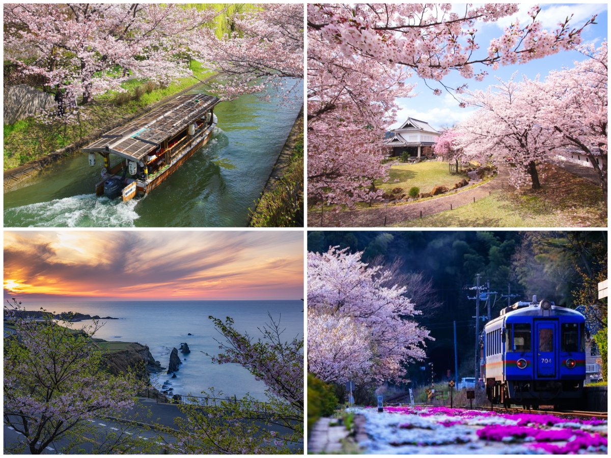 KYOTOSIDE tweet media