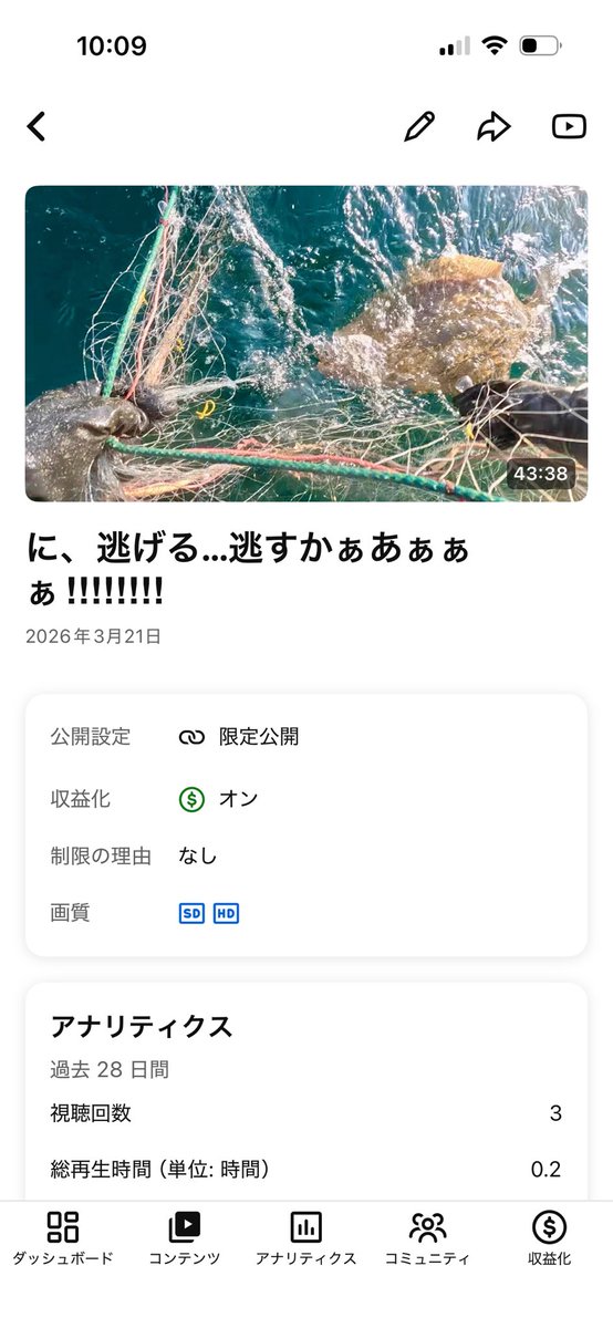 小豆島の漁師 はまゆう tweet media