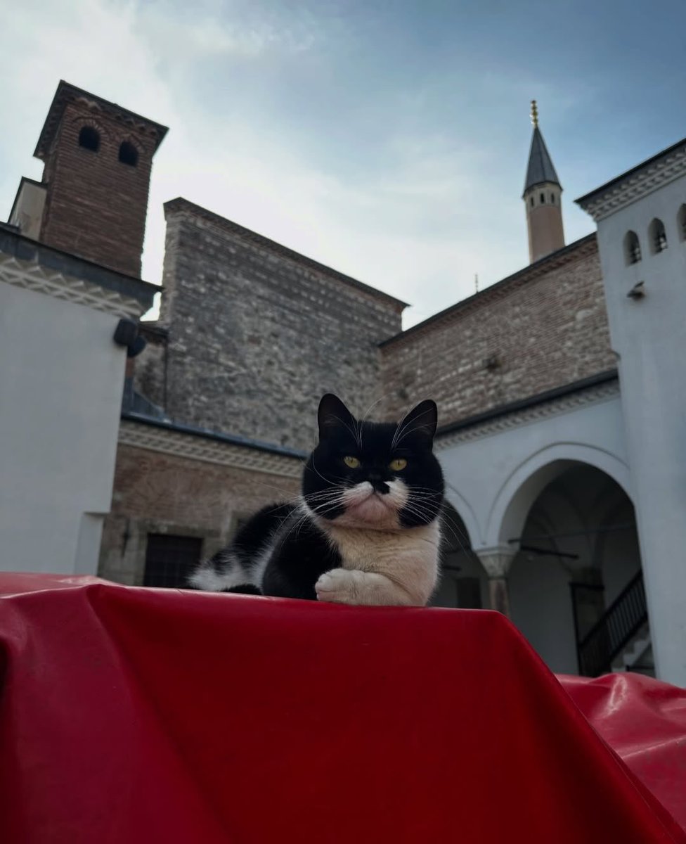 Daily Turkic tweet media