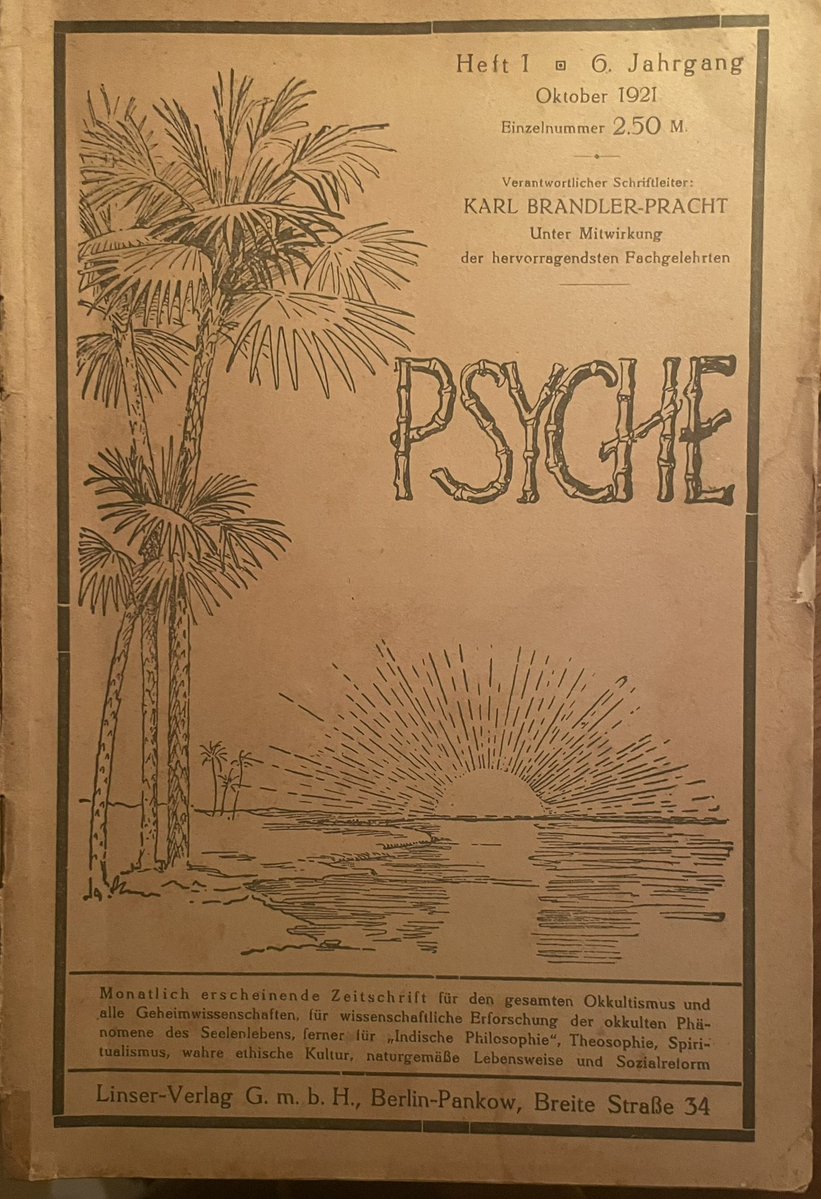 Theo Paijmans tweet media