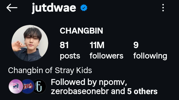 STRAY KIDS CHARTS tweet media