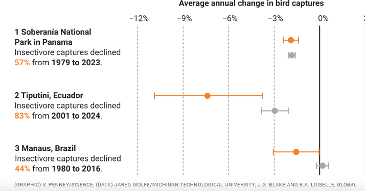 GO GREEN tweet media