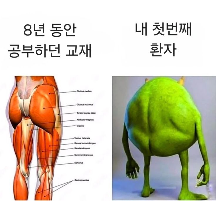 Rhayuumi's tweet photo. 의사는 극한직업 https://t.co/t988zjqzIG