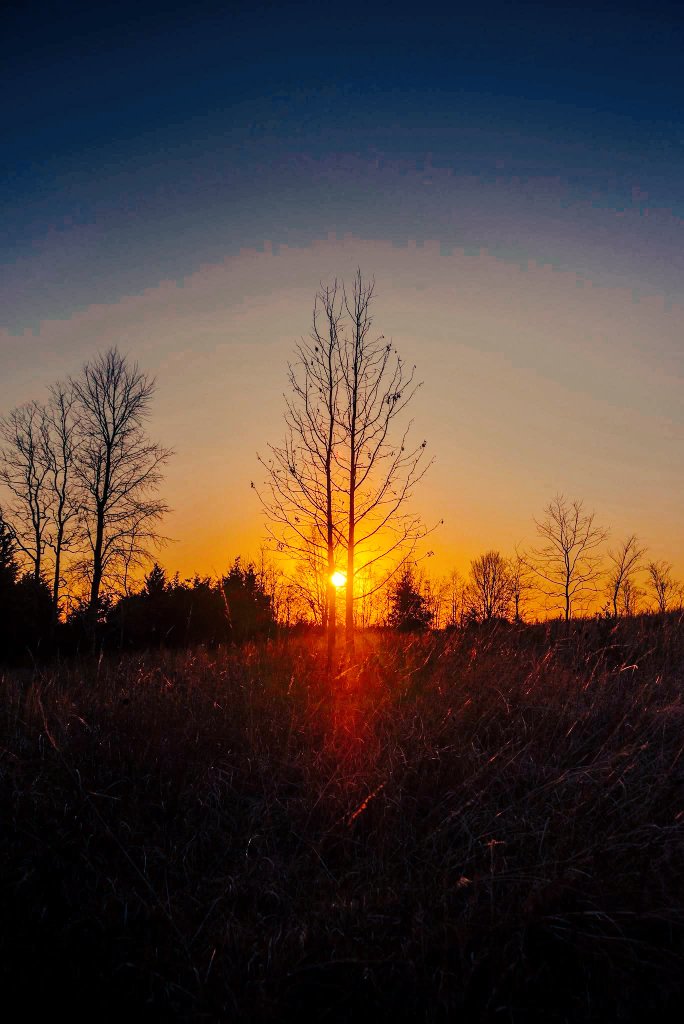 Airfemale 🇺🇸 🦅 tweet media