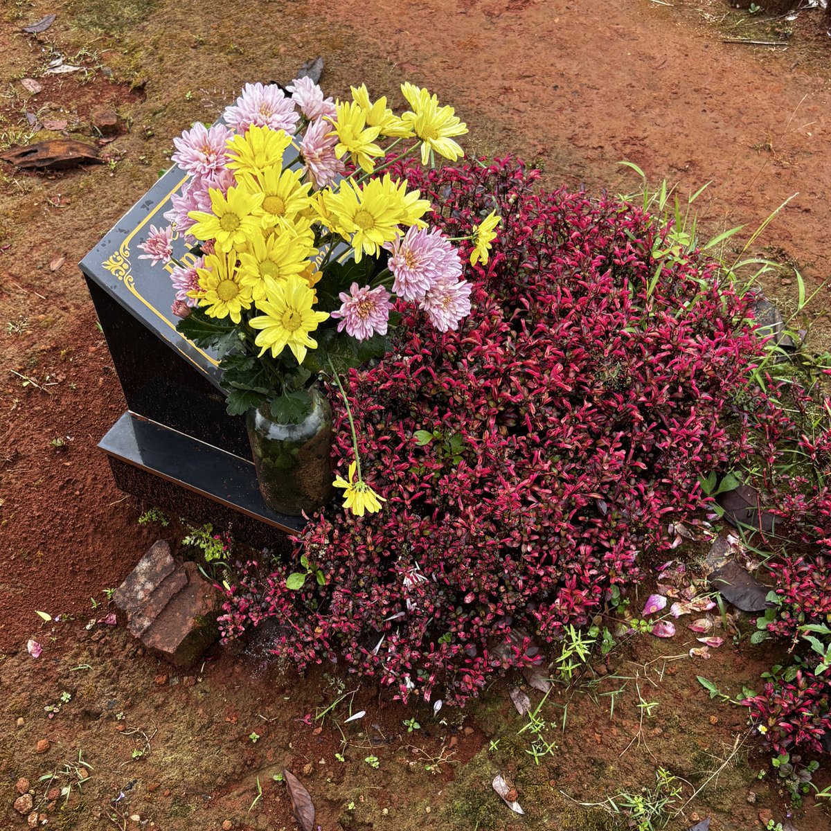 回 : Angkasa tweet media