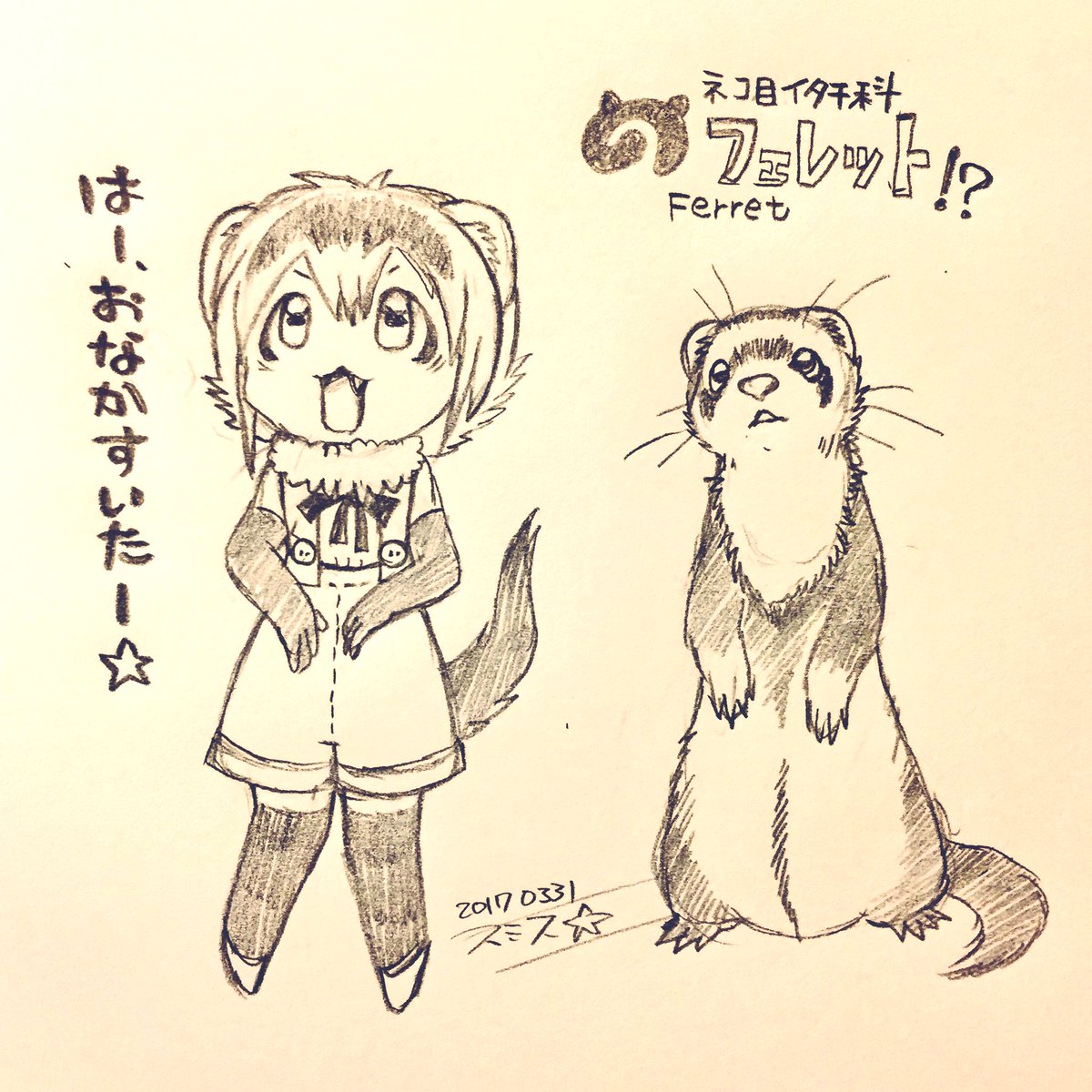 スミス☆Ferret artist🐾 tweet media