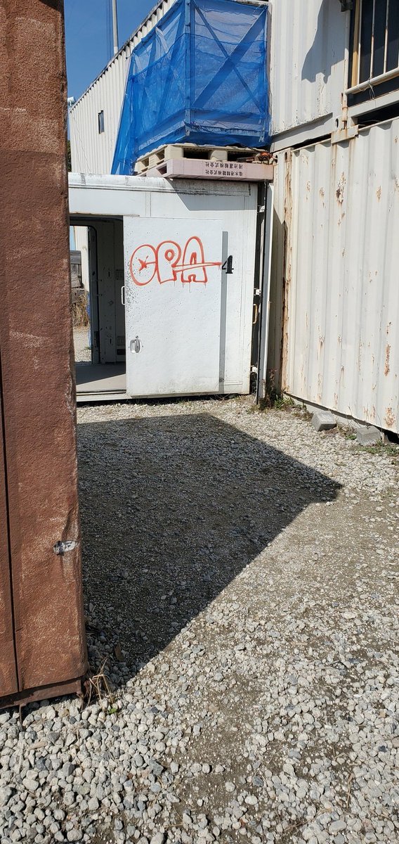 ツバメ「たけ」 tweet media