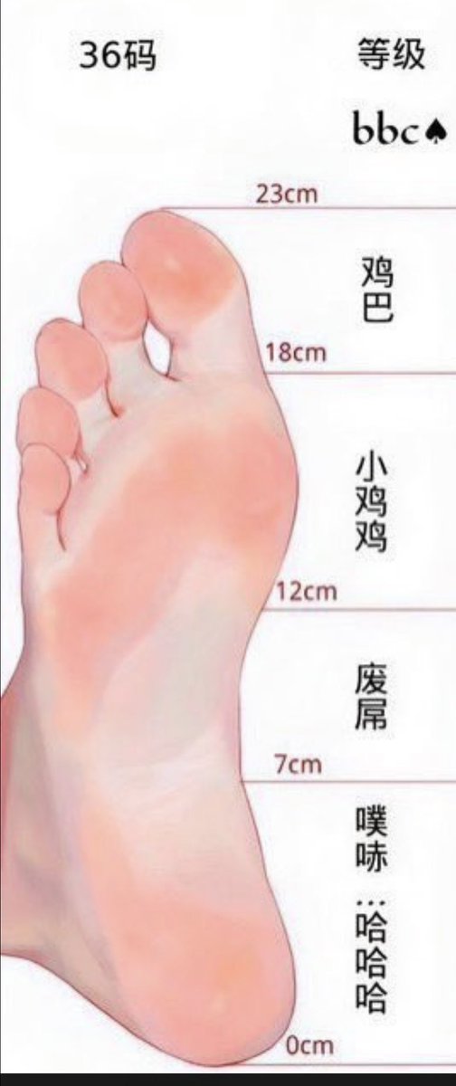 支离破碎的是我 tweet media