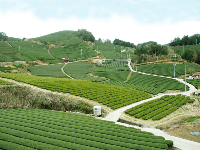 KYOTOSIDE tweet media