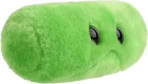 Mark K. Chee, Ph.D. tweet media