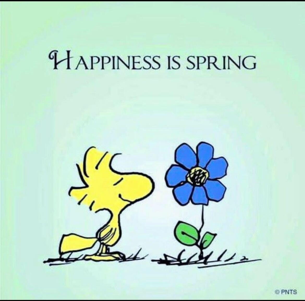 Nan 🌏🕊️ tweet media