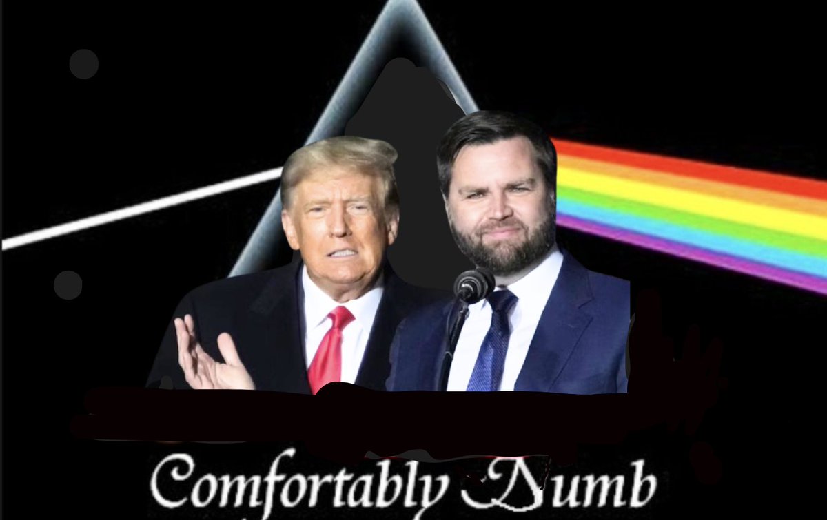 Zara Zee tweet media