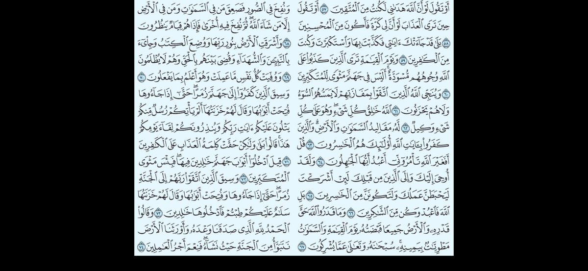 سلاي tweet media