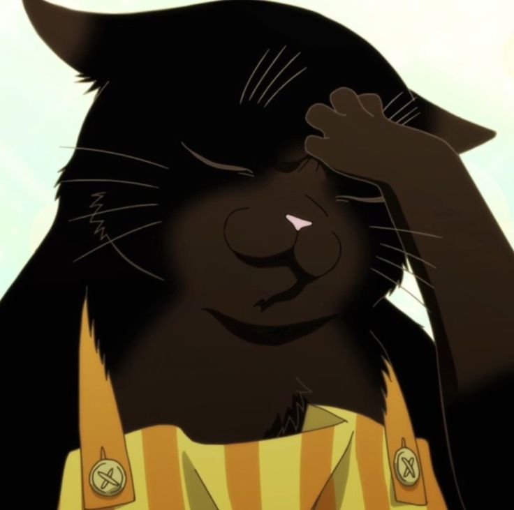 del 💫 plz mention after dm tweet media