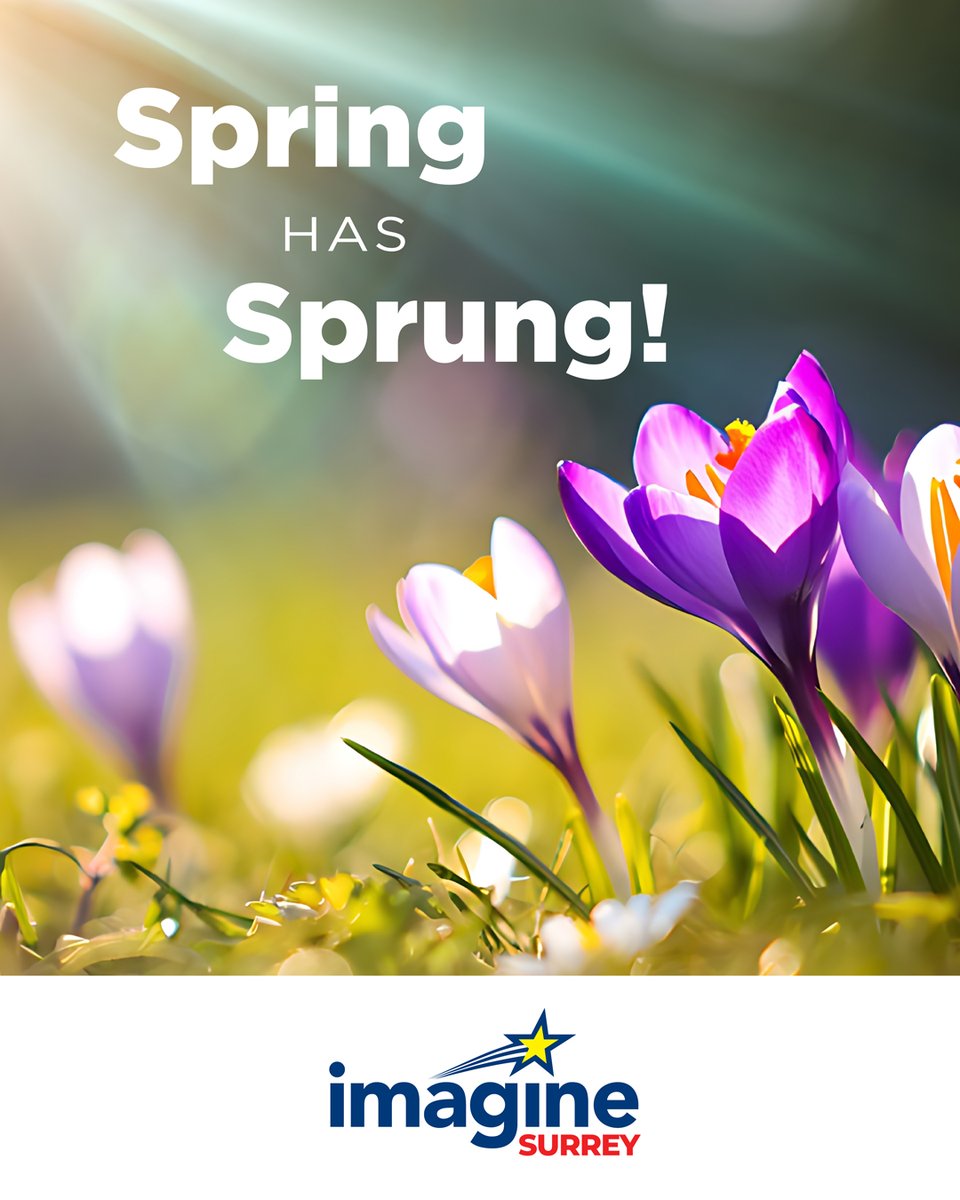 Imagine Surrey tweet media