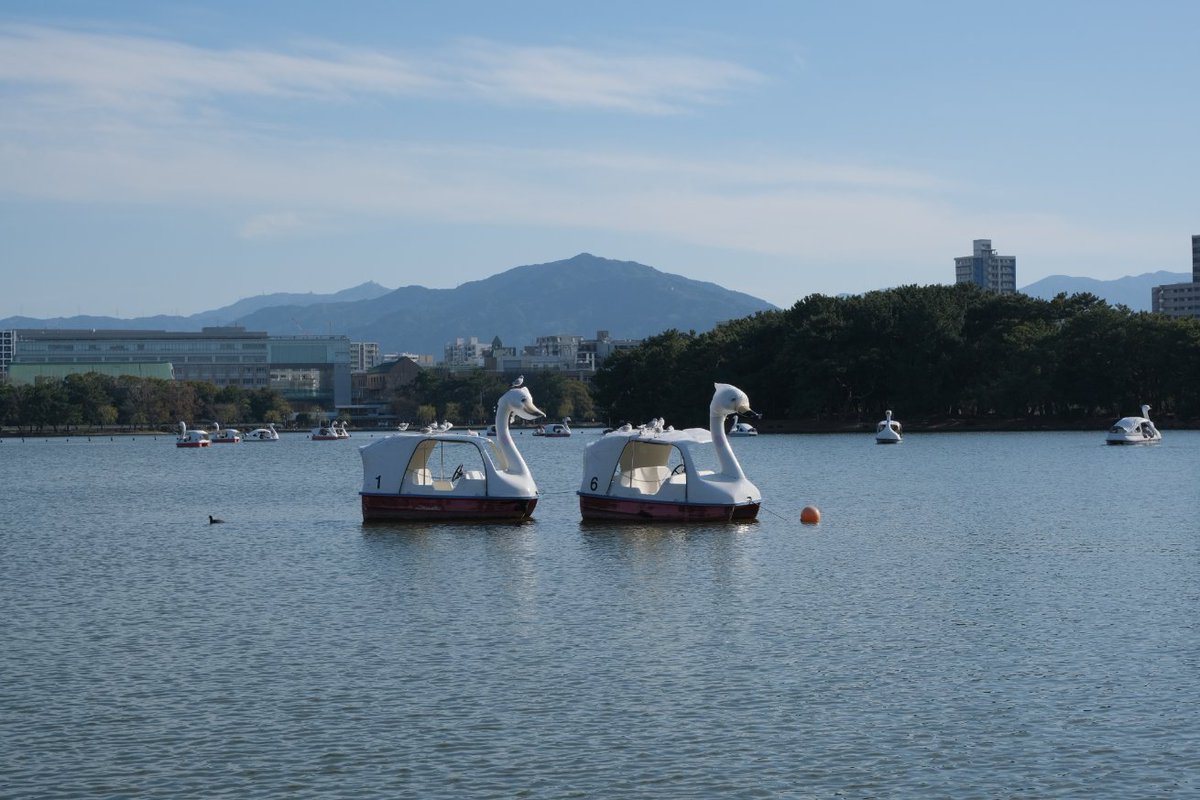 Windymelt🚀❤️🔥 tweet media