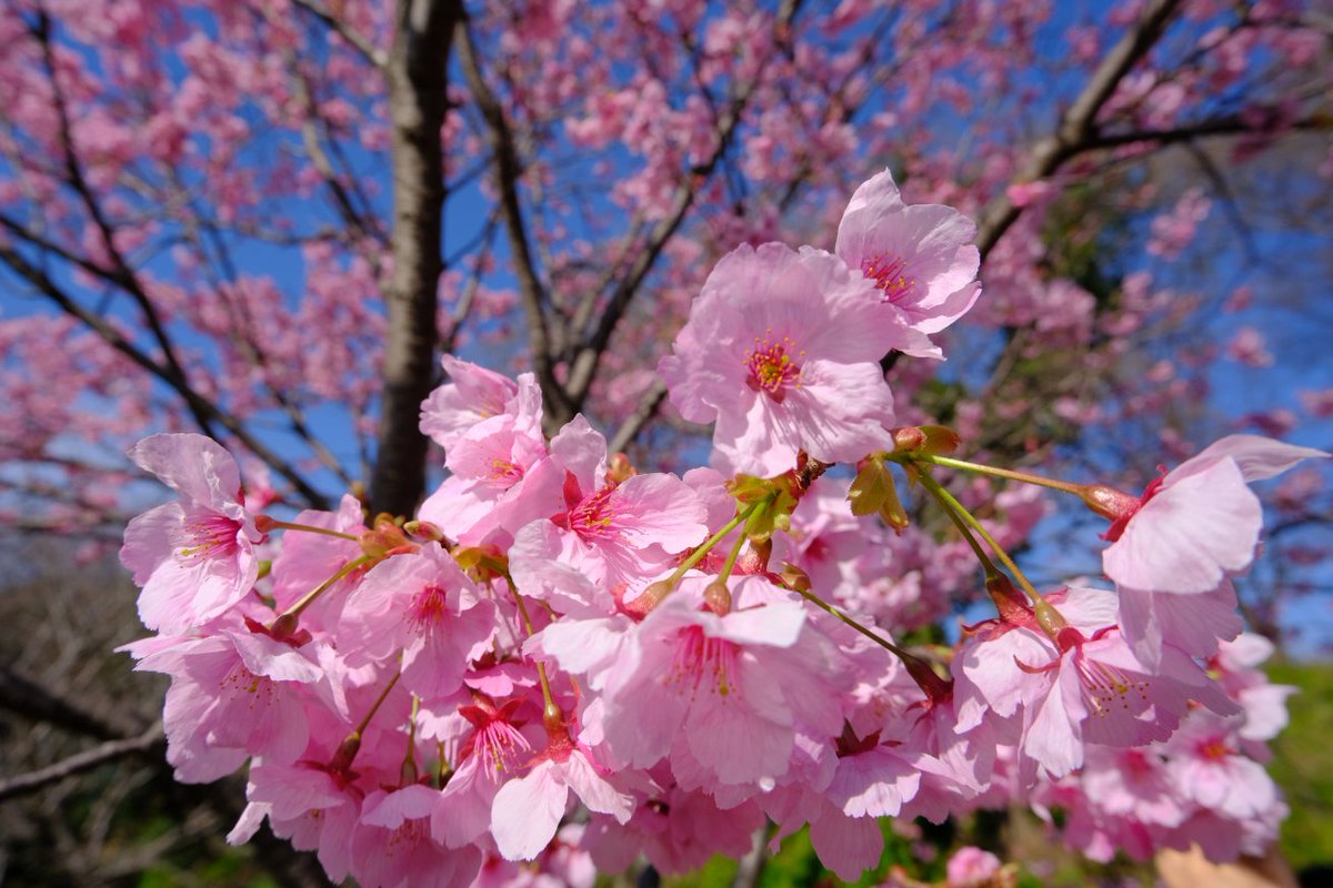 Windymelt🚀❤️🔥 tweet media