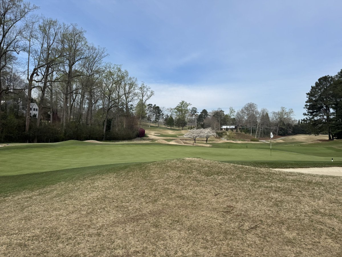 Joe Hollis tweet media