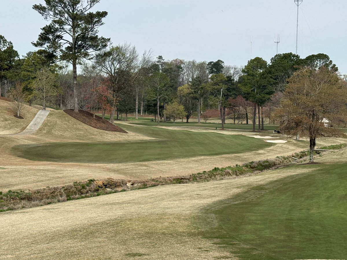 Joe Hollis tweet media