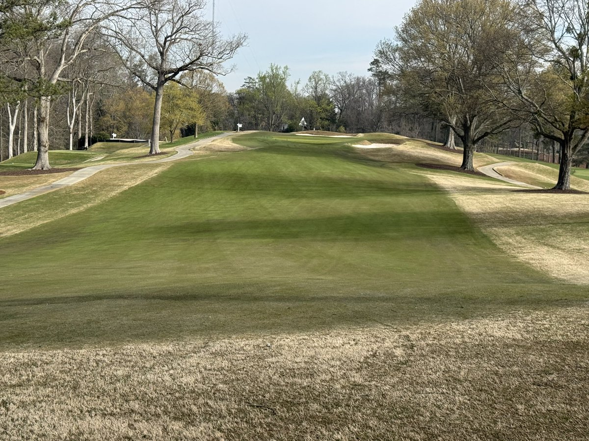 Joe Hollis tweet media