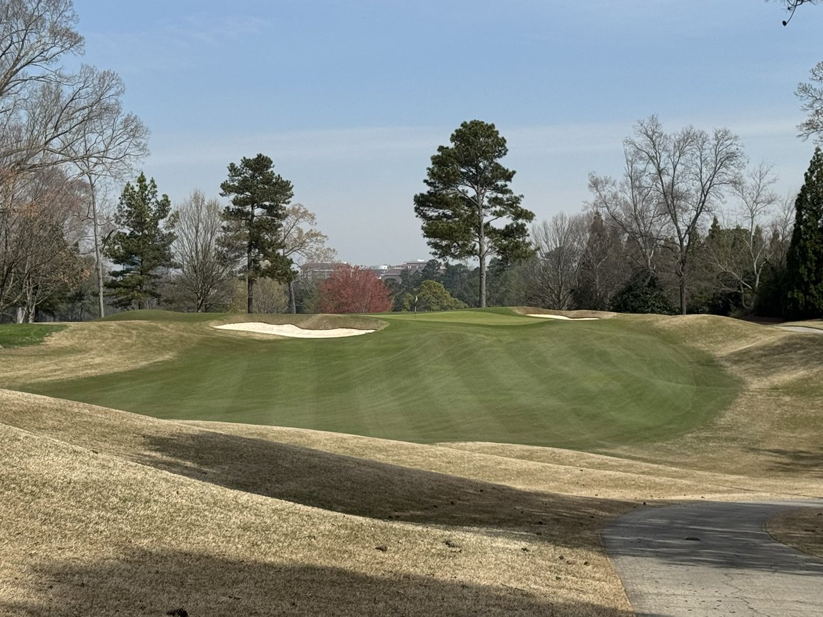 Joe Hollis tweet media