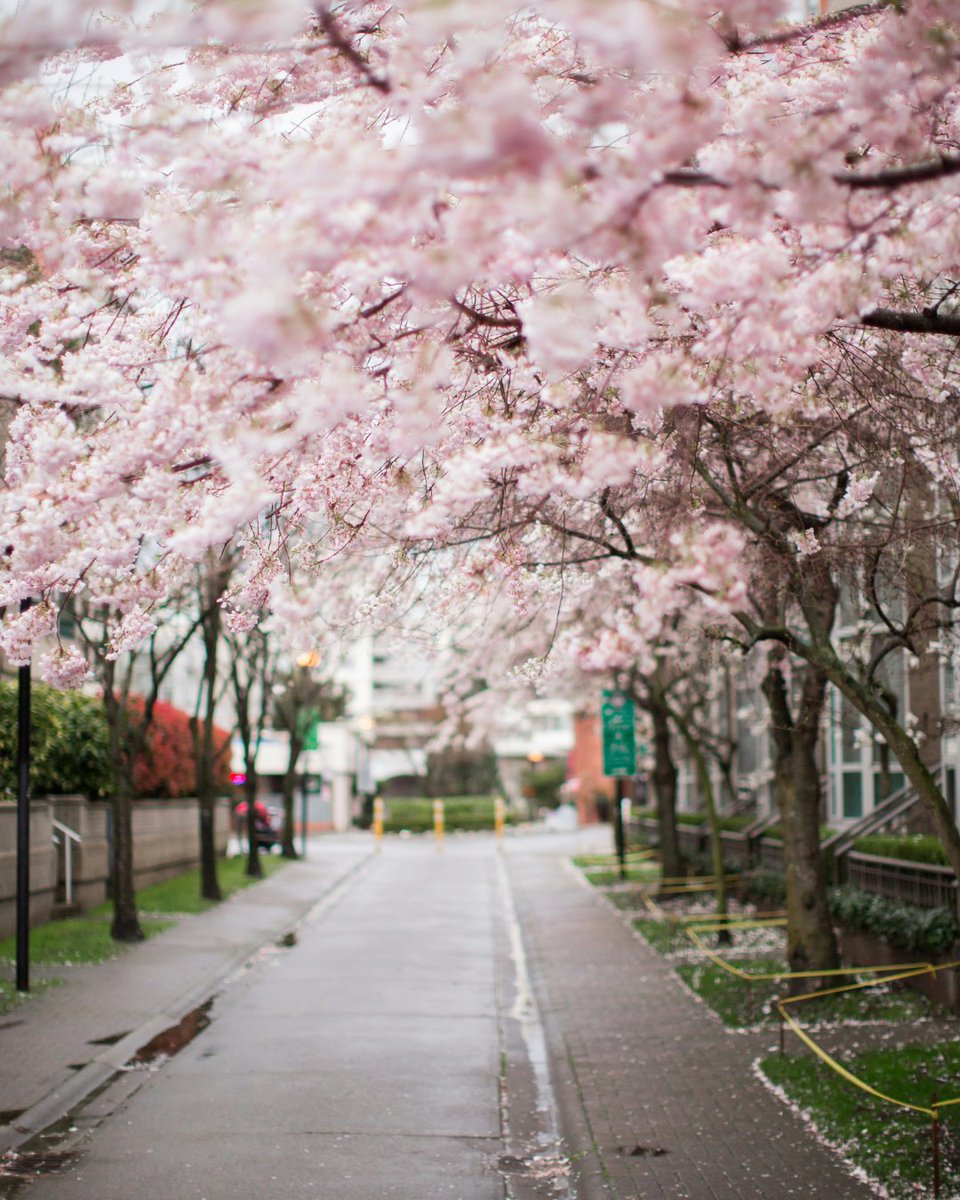 Sheraton Vancouver Airport tweet media