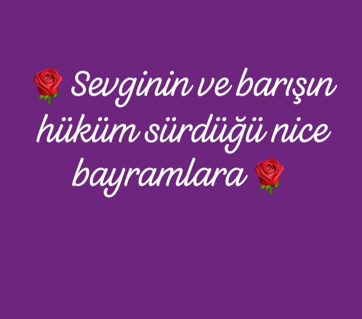 Fulya Uludağ 🇹🇷 tweet media