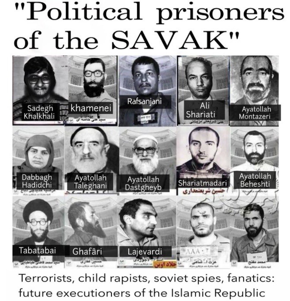 Savakzadeh's tweet photo. The “political prisoners” are the same people who burned people alive in cinemas, and today hang 19 year olds champions, rape girls in prison before executing them so they “can’t go to heaven” and sniper toddlers right in the face, then they go chant “death to America and Israel” https://t.co/5cIjrDsIEb