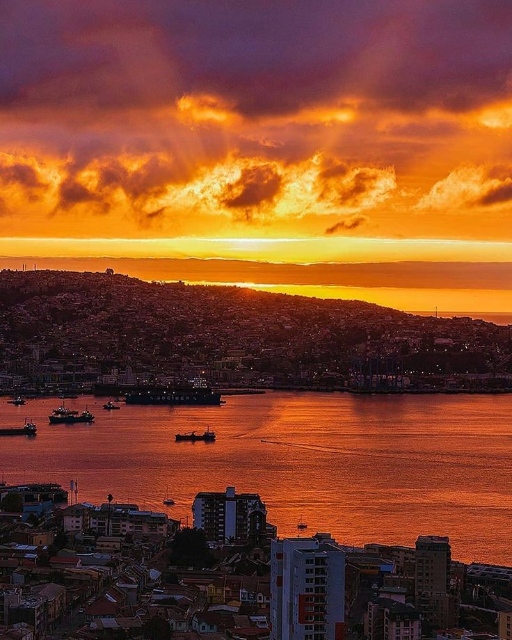 Región de Valparaíso tweet media