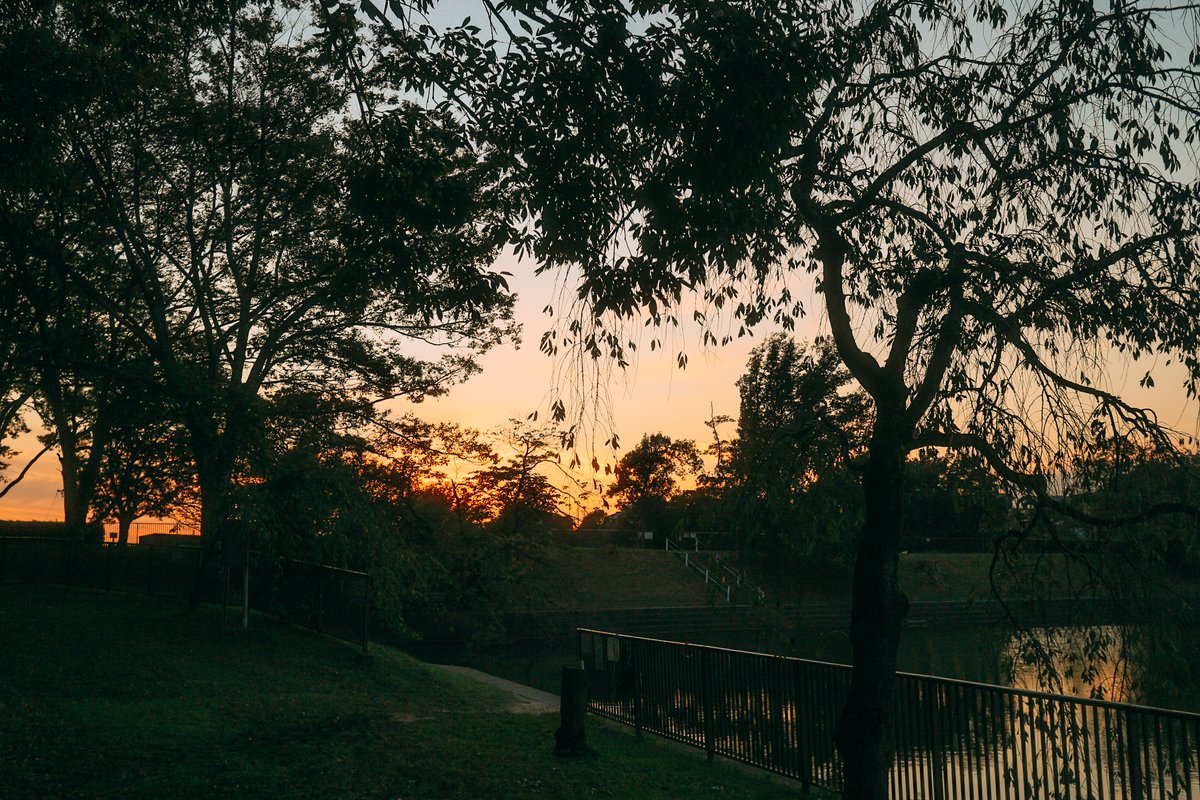 でにひろ tweet media